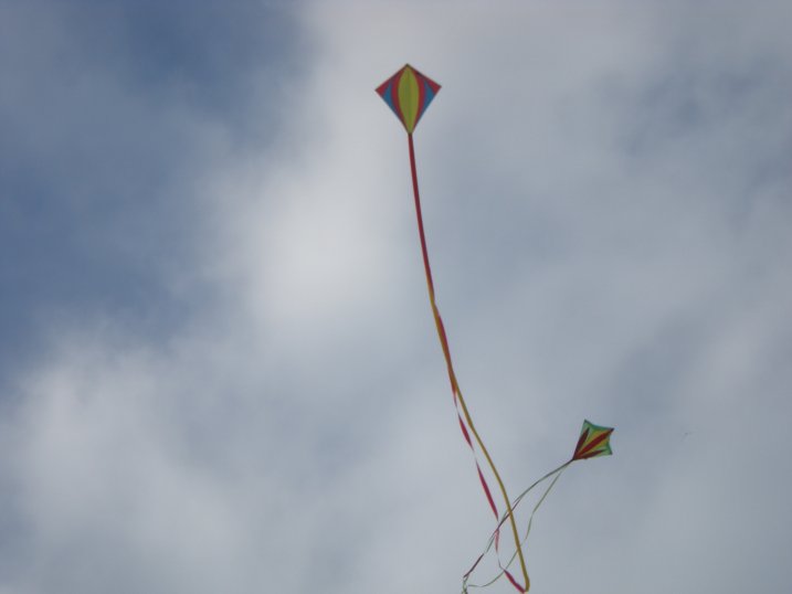 Goldgeben Drachenfest