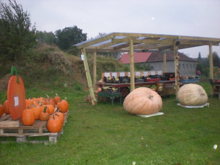K&uuml;rbisverkauf, D&ouml;rfles