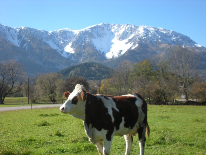 Schneeberg Michael B&uuml;bl, Bergsteiger