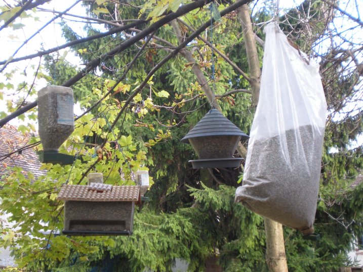Vogelhaus, Vogel, Vogelfutter