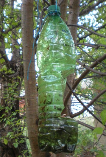 Vogelhaus, Vogel, Vogelfutter